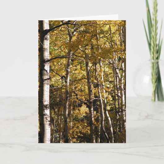 《植物》アスペンの金ゴールド カード (正面)