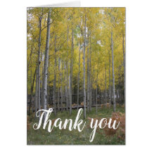 《植物》アスペンの黄色いグロー感謝していユー