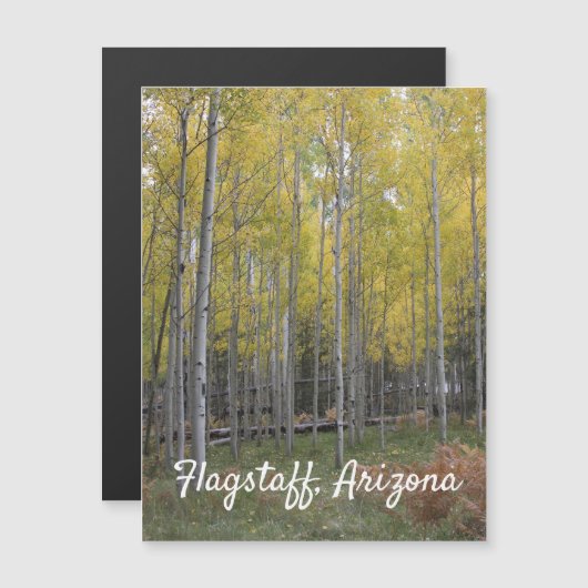 《植物》アスペンの黄色 (正面/裏面)