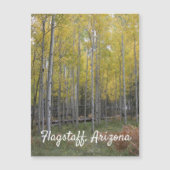 《植物》アスペンの黄色 (正面)