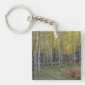 《植物》アスペンの黄色 キーホルダー (正面)
