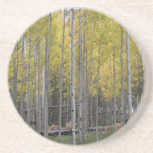 《植物》アスペンの黄色 コースター (正面)