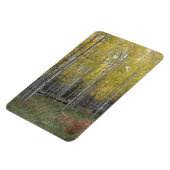 《植物》アスペンの黄色 マグネット (左側)