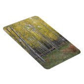 《植物》アスペンの黄色 マグネット (右側)