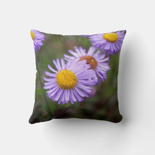 《植物》アスペンのFleabaneのデイジーの花の枕 クッション (裏面)