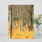 《植物》アスペンのtressの招待カード 招待状 (スタンド正面)