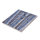 《植物》アスペンイングニソン国立公園 タイル (側面)