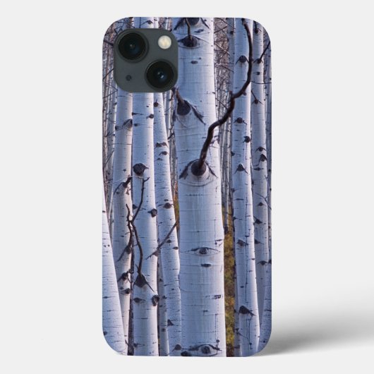 《植物》アスペンイングニソン国立公園 Case-Mate iPhoneケース (裏面)