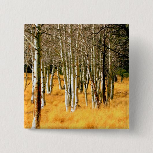 《植物》アスペンウッズボタン 缶バッジ (正面)