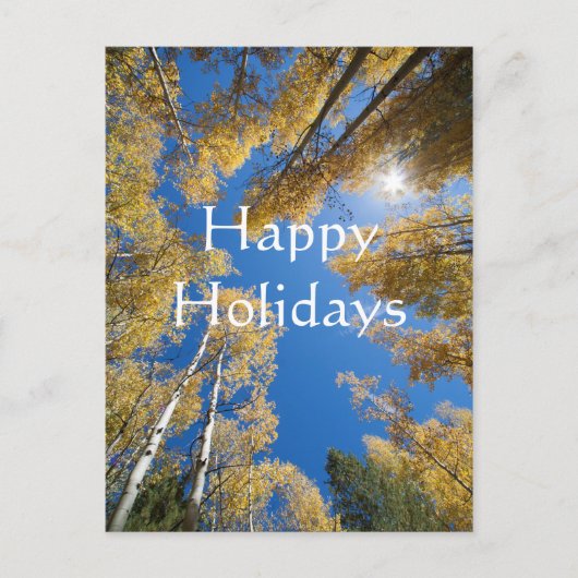 《植物》アスペンオール,ハのまわりにッピーホリデーズ シーズンポストカード (正面)