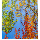 《植物》アスペンカラーキャンディ//秋リーフカラー シャワーカーテン (正面)