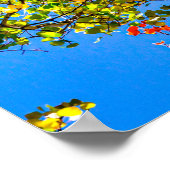 《植物》アスペンカラーキャンディ//秋リーフカラー ポスター (角)