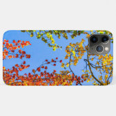 《植物》アスペンカラーキャンディ//秋リーフカラー Case-Mate iPhoneケース (裏面(横))