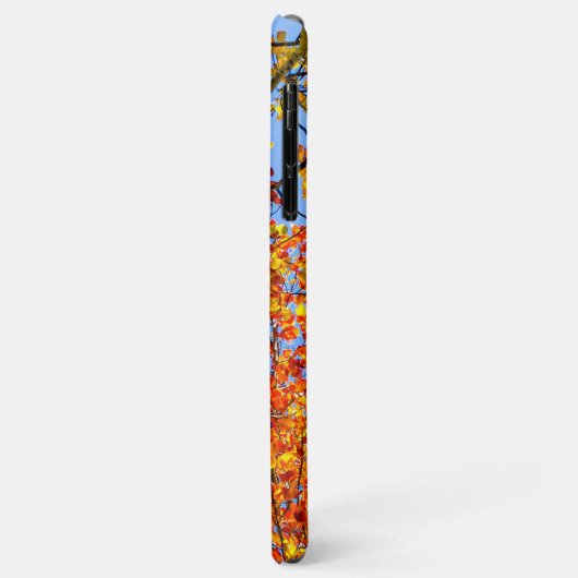 《植物》アスペンカラーキャンディ//秋リーフカラー Case-Mate iPhoneケース (裏面/左)