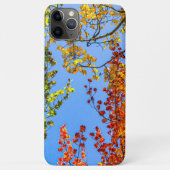 《植物》アスペンカラーキャンディ//秋リーフカラー Case-Mate iPhoneケース (裏面)