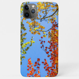 《植物》アスペンカラーキャンディ//秋リーフカラー iPhone 11 PRO MAXケース