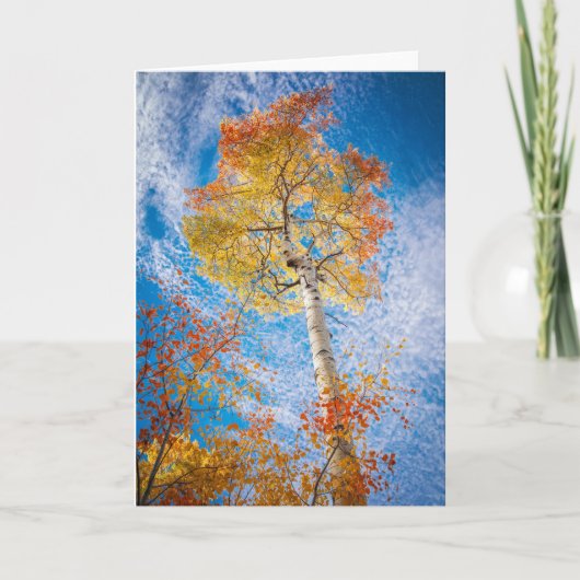 《植物》アスペンカード空白の、内部 カード (正面)