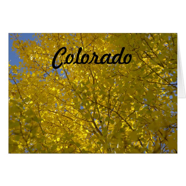 《植物》アスペンカード (正面横)