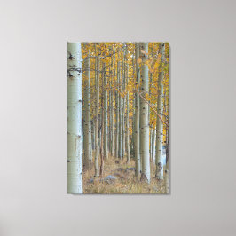 《植物》アスペングローブ キャンバスプリント