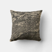 《植物》アスペンコロラド州(1893年)のヴィンテージの絵解き地図 クッション (裏面)