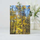 《植物》アスペンサンカード サンキューカード (スタンド正面)