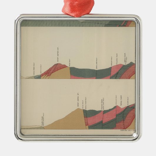 《植物》アスペンスペシャルシート メタルオーナメント (正面)