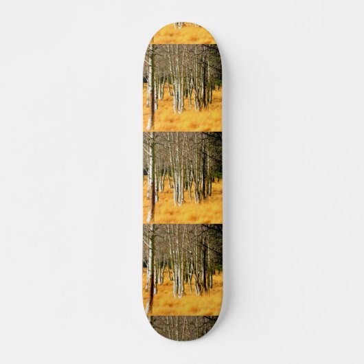 《植物》アスペンツリースケートボード スケートボード (正面)