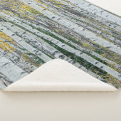 《植物》アスペンツリートランク |コロラド州,《植物》アスペン シェルパブランケット (3/4)