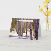 《植物》アスペンツリーフォレストinフラッグスタッフ, AZ カード (黄色い花)