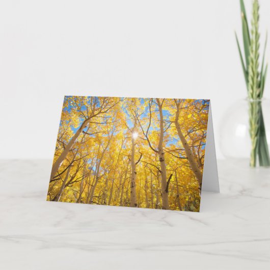 《植物》アスペンツリー |シエラネバダ山脈(カリフォルニア州) カード (正面)