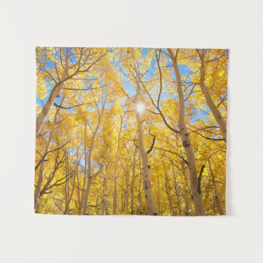 《植物》アスペンツリー |シエラネバダ山脈（カリフォルニア州） タペストリー (正面(横))