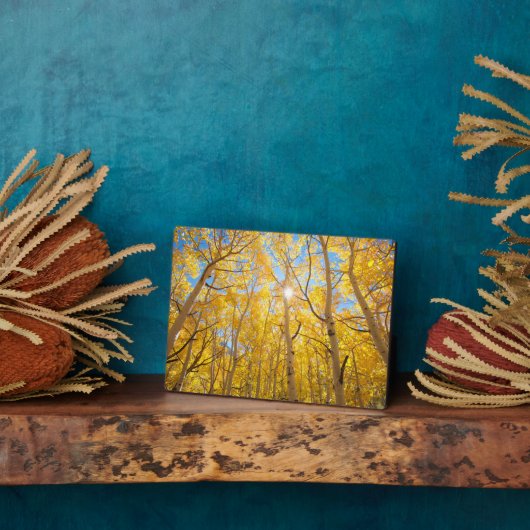 《植物》アスペンツリー |シエラネバダ山脈（カリフォルニア州） フォトプラーク (側面)