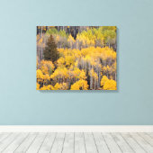 《植物》アスペンツリー |ホワイトリバー国有林 キャンバスプリント (インサイチュ (ウッドフロア))