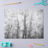 《植物》アスペンツリー – 白黒 薄葉紙 (クラフト)