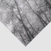 《植物》アスペンツリー – 白黒 薄葉紙 (詳細)