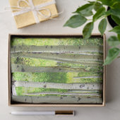 《植物》アスペンツリー 薄葉紙 (ギフト)