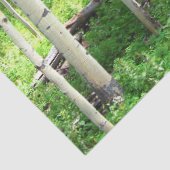 《植物》アスペンツリー 薄葉紙 (詳細)