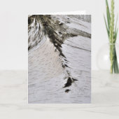 《植物》アスペンバーククローズアップ カード (正面)