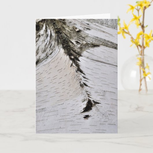 《植物》アスペンバーククローズアップ カード (黄色い花)