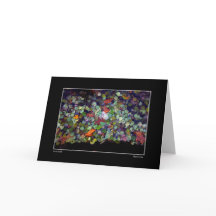 《植物》アスペンパドル秋カード