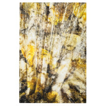 《植物》アスペンフォレスト抽象芸術