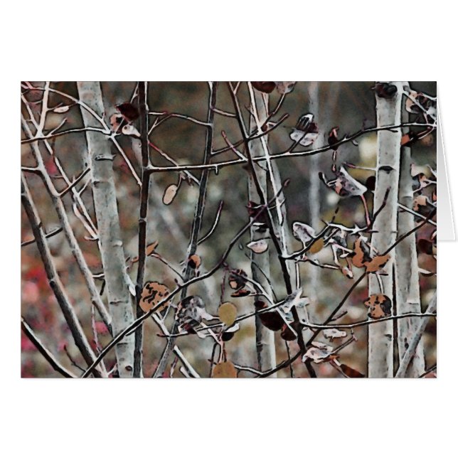 《植物》アスペンフォレスト晩秋 (正面横)