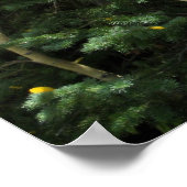 《植物》アスペンポスター ポスター (角)