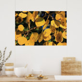 《植物》アスペンポプラ葉ルーの秋 ポスター (キッチン)