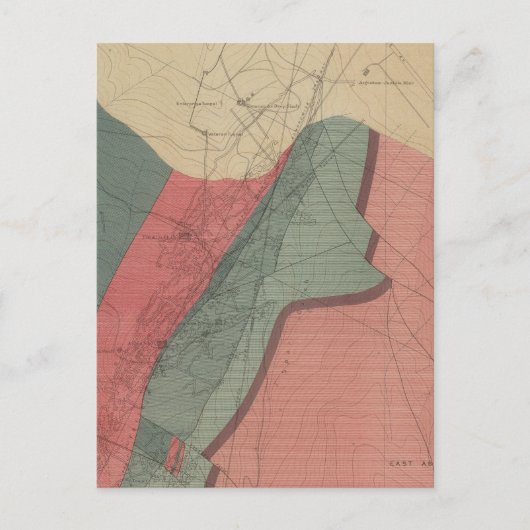 《植物》アスペンマウンテンシート ポストカード (正面)