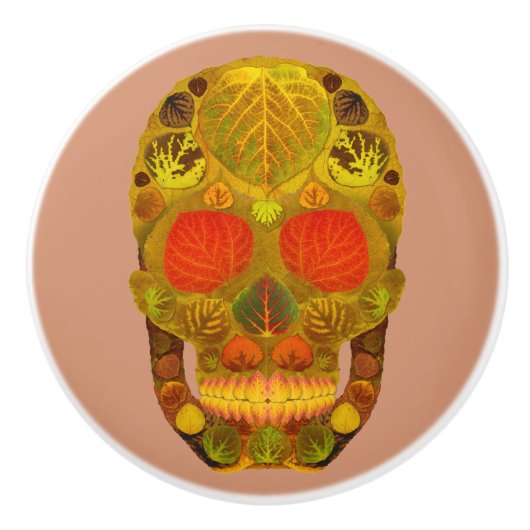 《植物》アスペンリーフスカル12 セラミックノブ (正面)