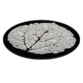 《植物》アスペンリーフスケルトン1 カッティングボード (角)