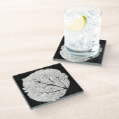 《植物》アスペンリーフスケルトン1 ガラスコースター (アングル)