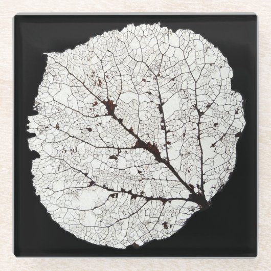 《植物》アスペンリーフスケルトン1 ガラスコースター (正面)