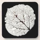 《植物》アスペンリーフスケルトン1 コースター (正面)